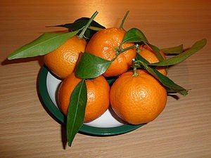 Mandarin orange fruit Citrus reticulata