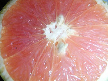 Pink grapefruit